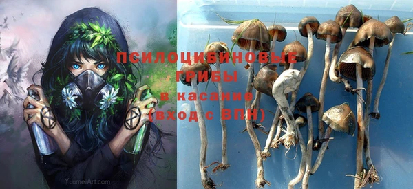 apvp Белоозёрский